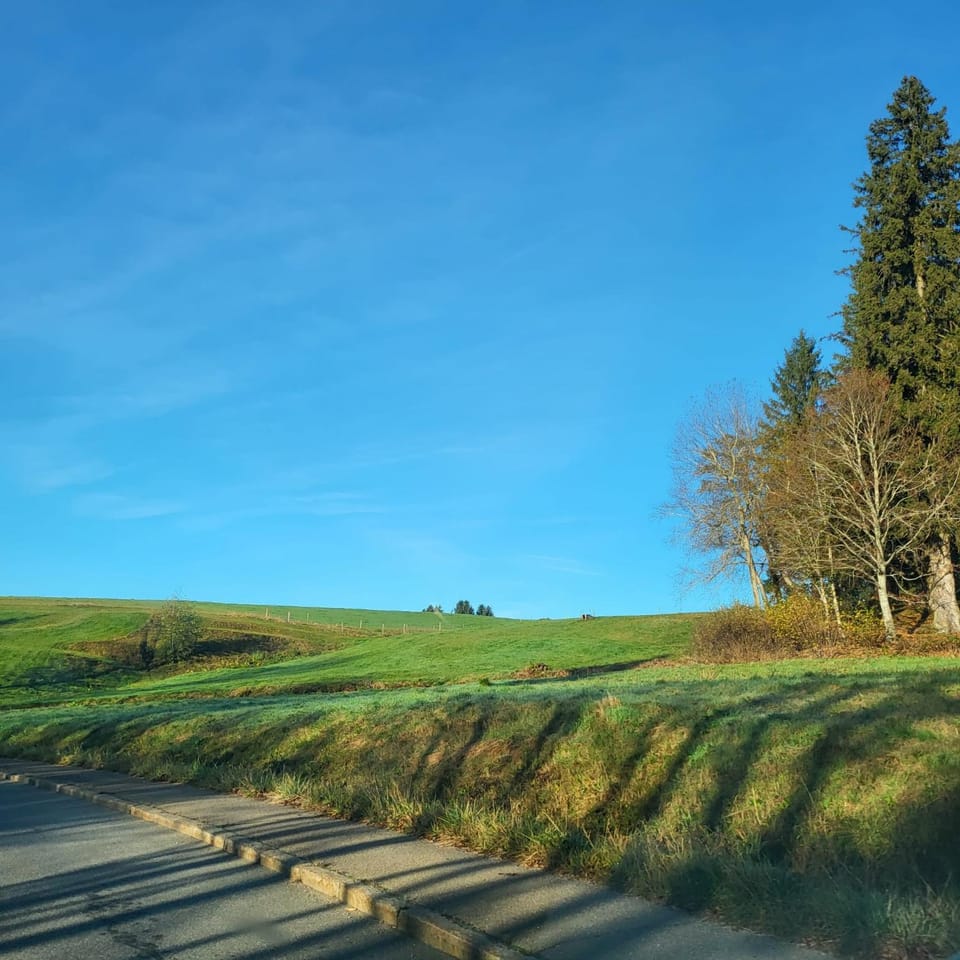 Schonach mountain-Top, forest, free parking, new kitchen, renovated bathroom Apartment in Baden-Württemberg