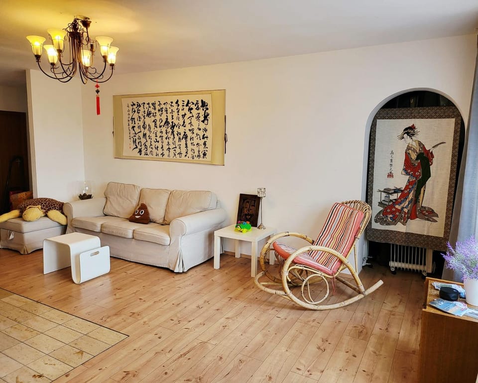 Schonach mountain-Top, forest, free parking, new kitchen, renovated bathroom Apartment in Baden-Württemberg