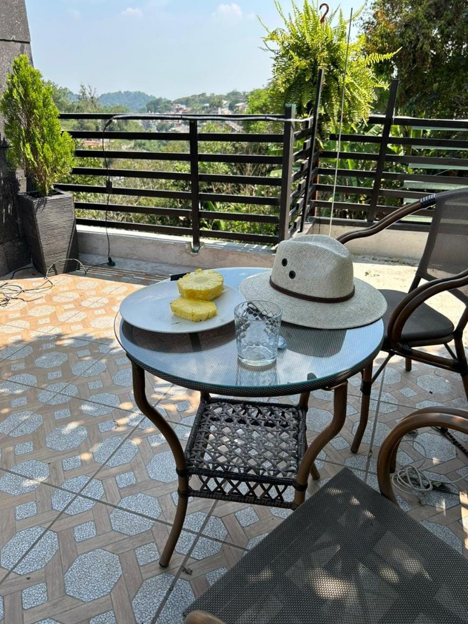 Casa Velodromo House in Xalapa