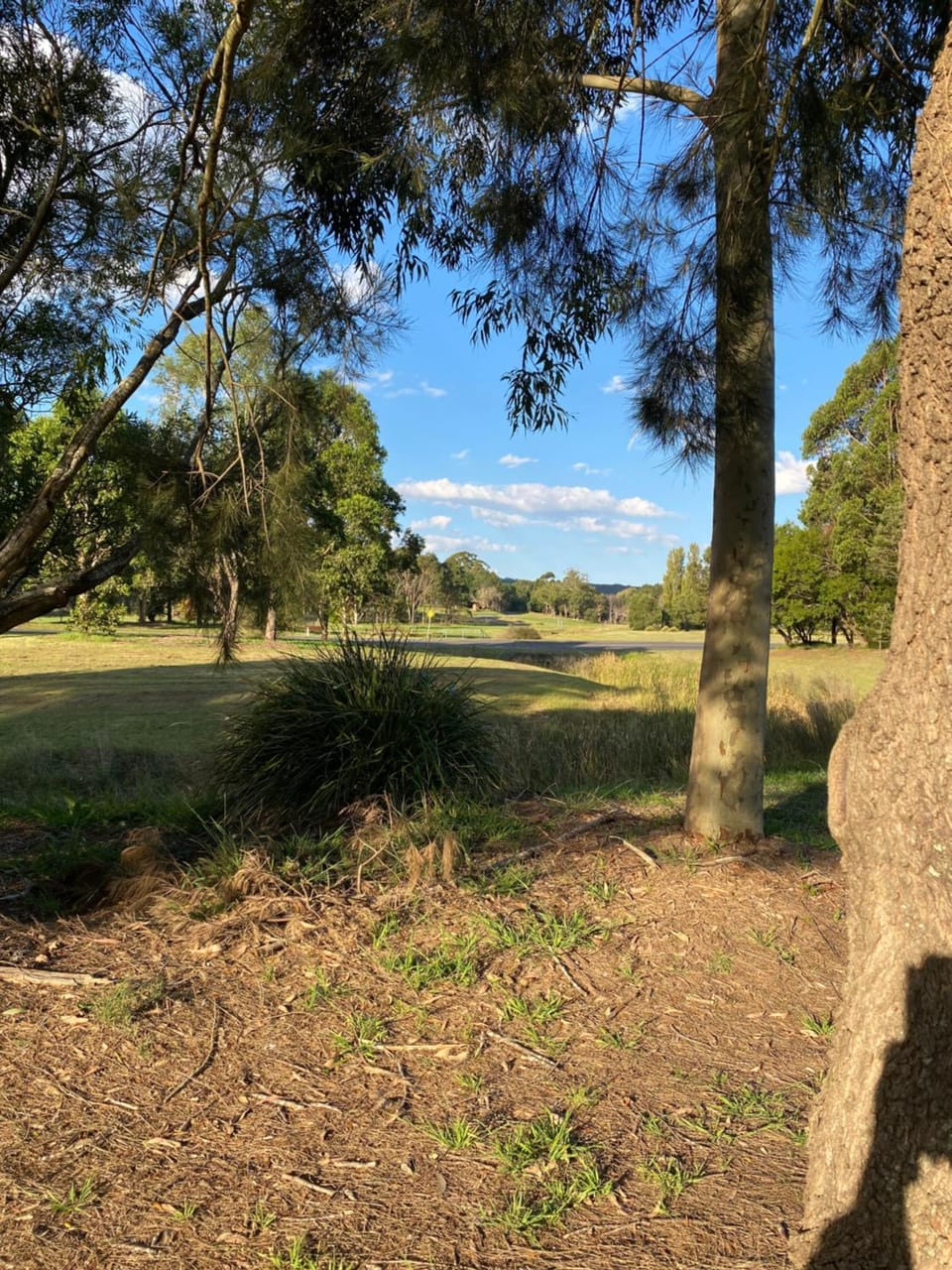 Parkview House in Bowral