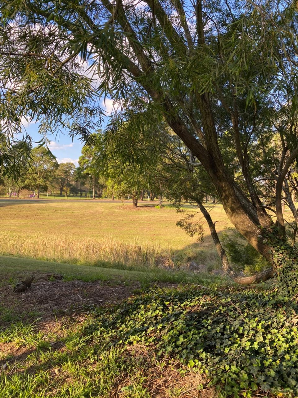 Parkview House in Bowral