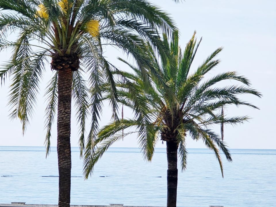 Sea view