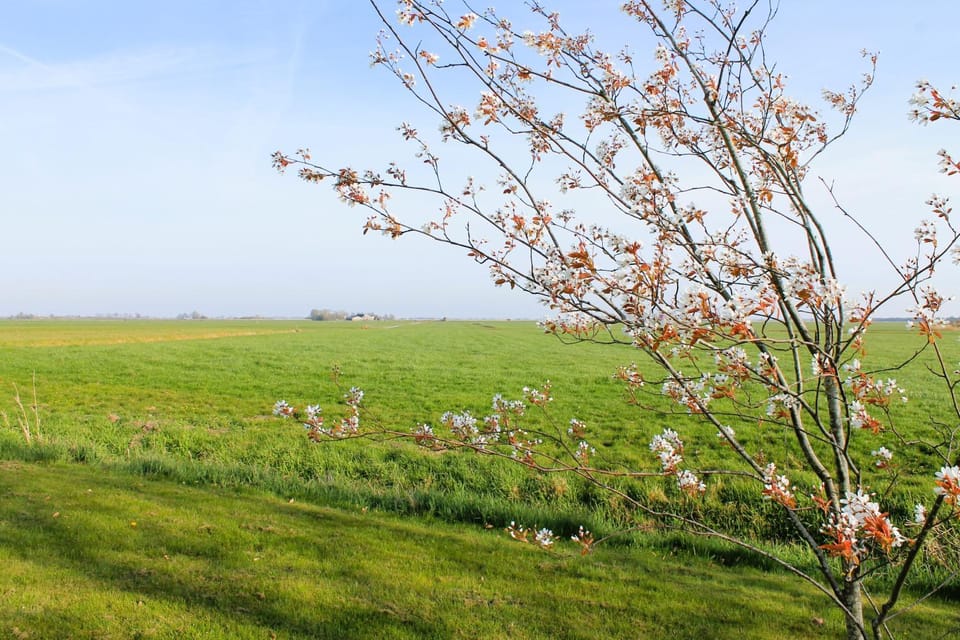 Natural landscape, View (from property/room)