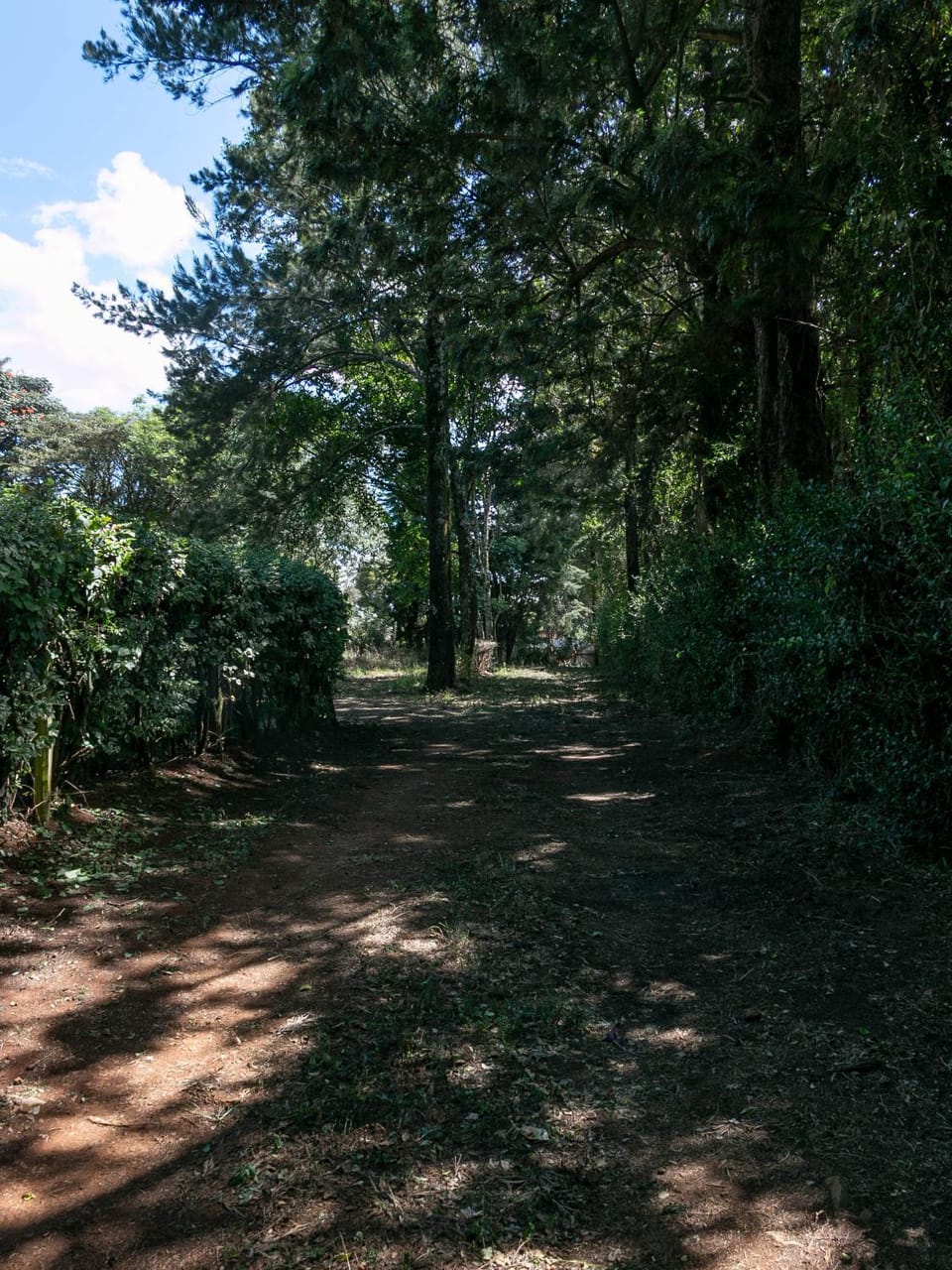 The Hideaways Eldoret Vacation rental in Kenya