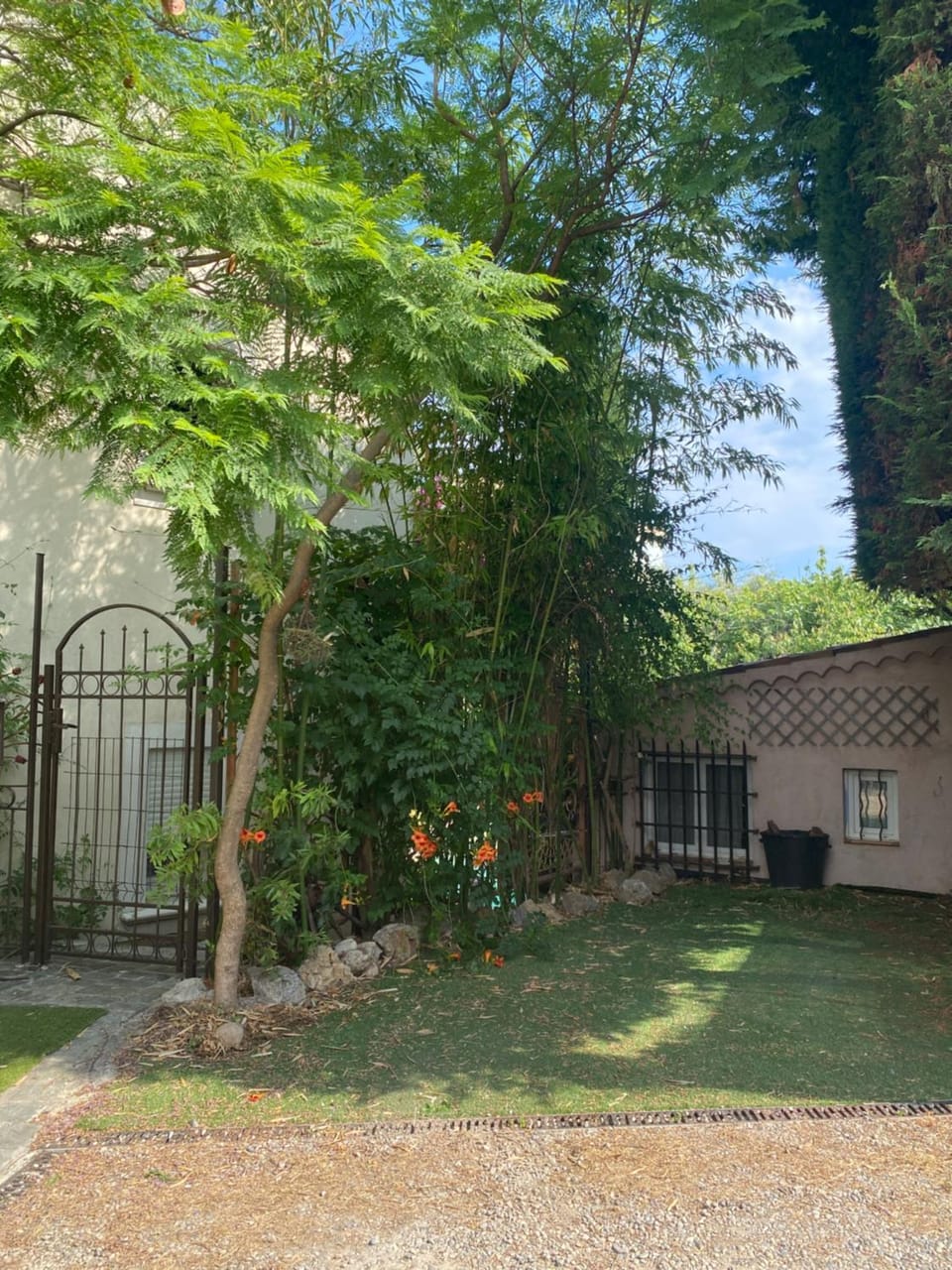Natural landscape, Garden, Parking