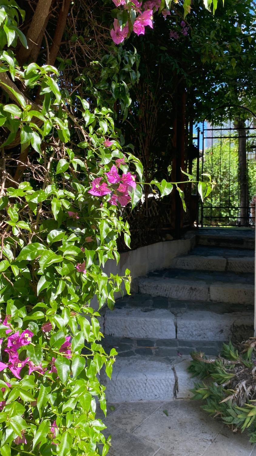 Garden, acessibility