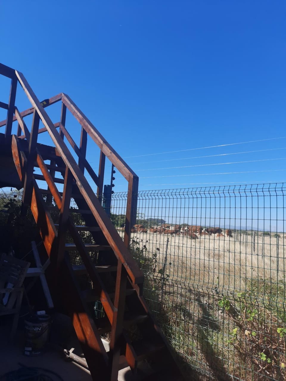 Fisantjie Apartment in Cape Town