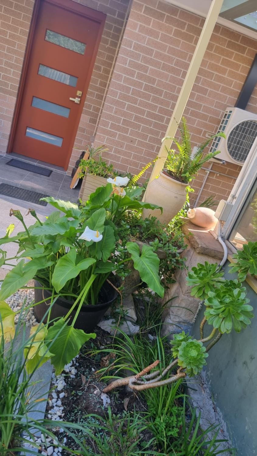 Oasis Villa in Sydney