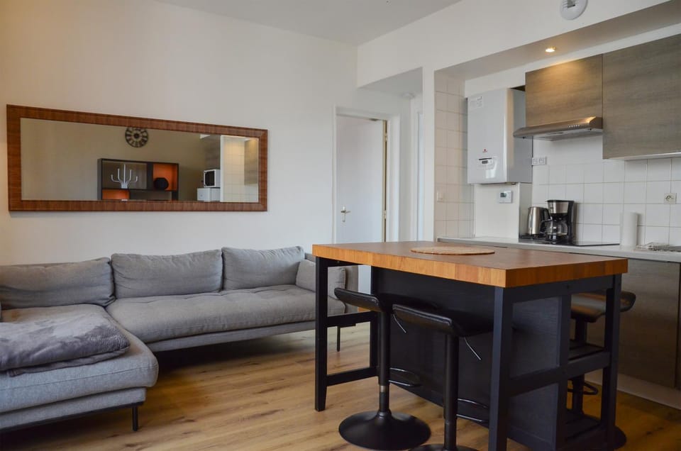 Le superbe T2, Centre ville, WIFI, proche Gare , Prox Lille, Terrasse Apartment in Flanders