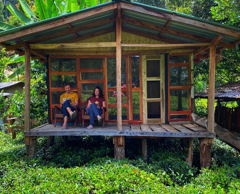 Pekoe Path Lodge Bed and Breakfast in Central Province