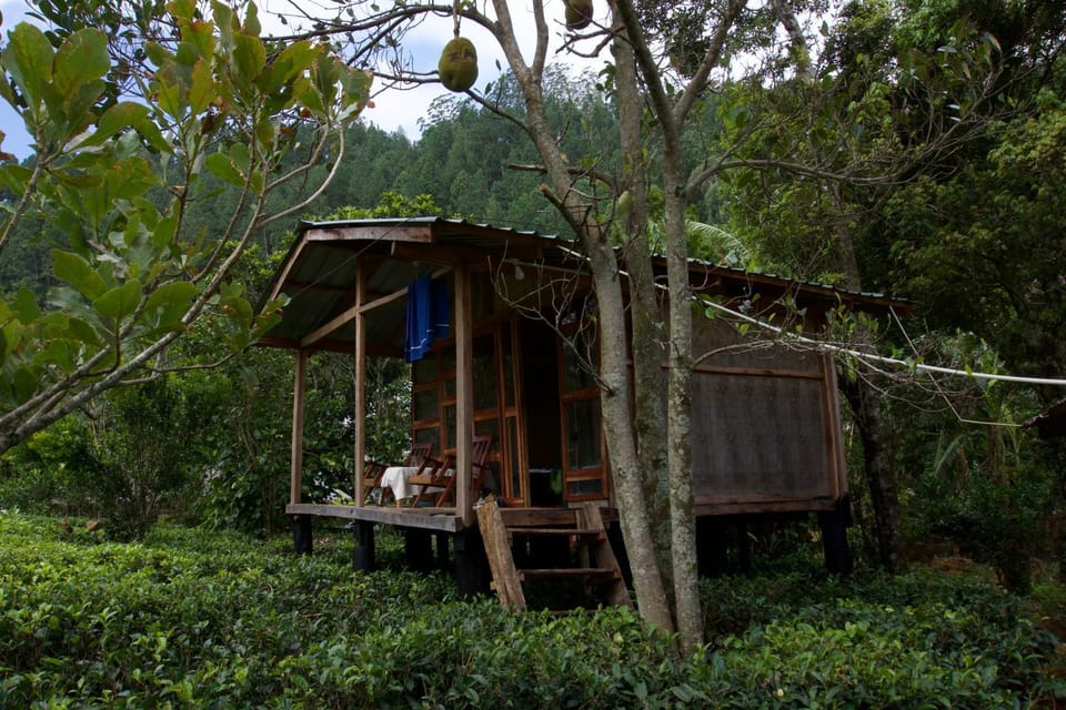 Pekoe Path Lodge Bed and Breakfast in Central Province