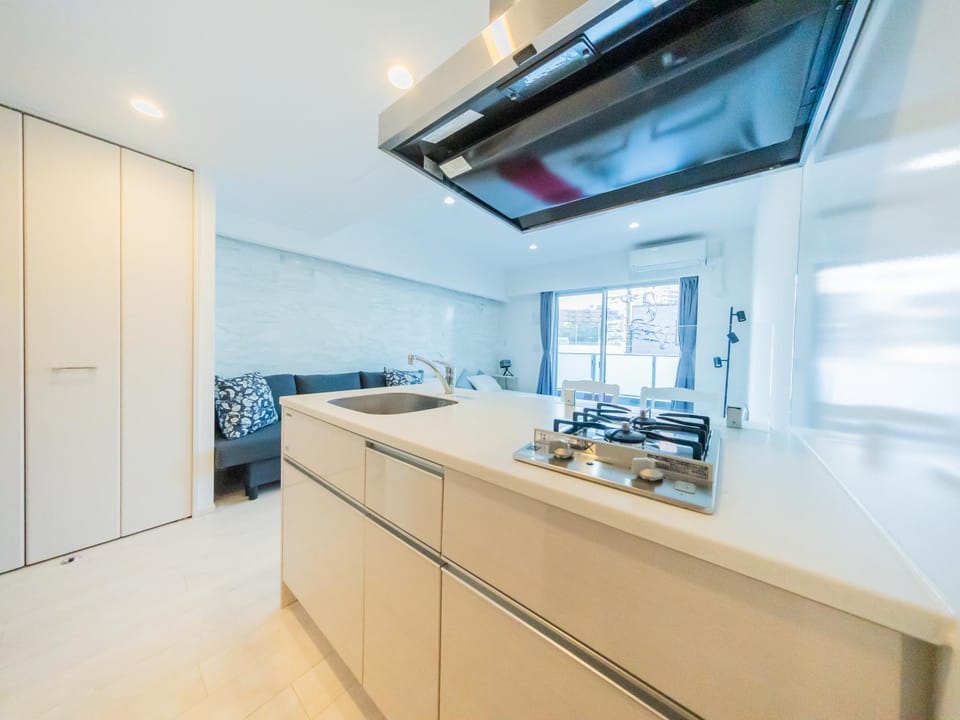 Kitchen or kitchenette, kitchen