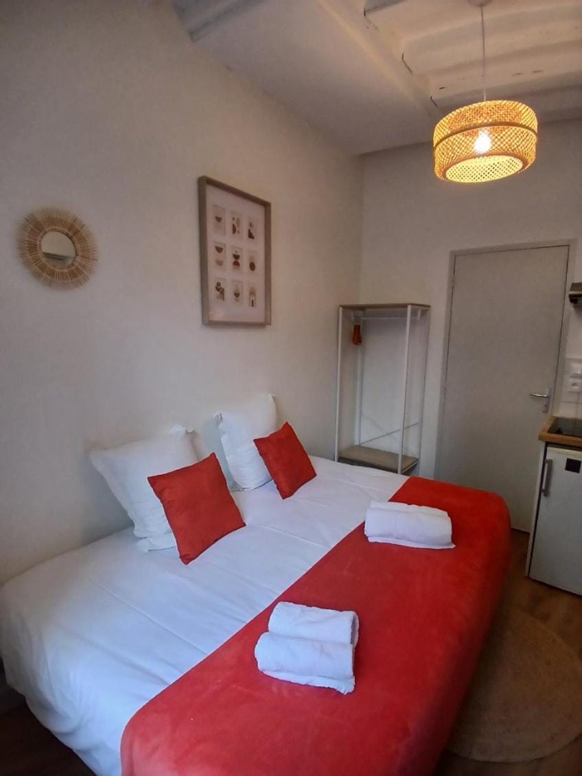 STUDIO CENTRE VILLE ANGERS RDC - 2 personnes Apartment in Angers