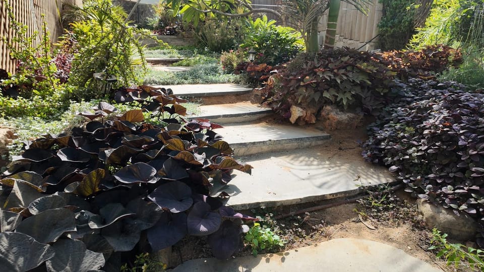 צלילי המעיין- צימר בוטיק במדבר Bed and Breakfast in South District