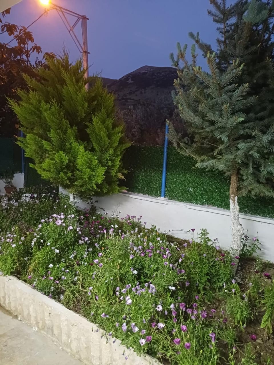 Elite Apart Pansiyon Bed and Breakfast in Decentralized Administration of Macedonia and Thrace