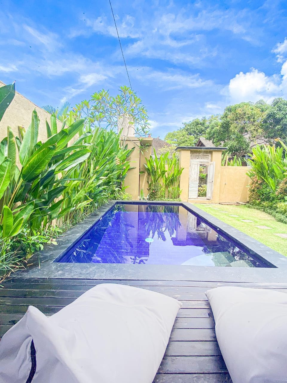 Day, Natural landscape, Garden, Garden view, Pool view, Swimming pool, sunbed