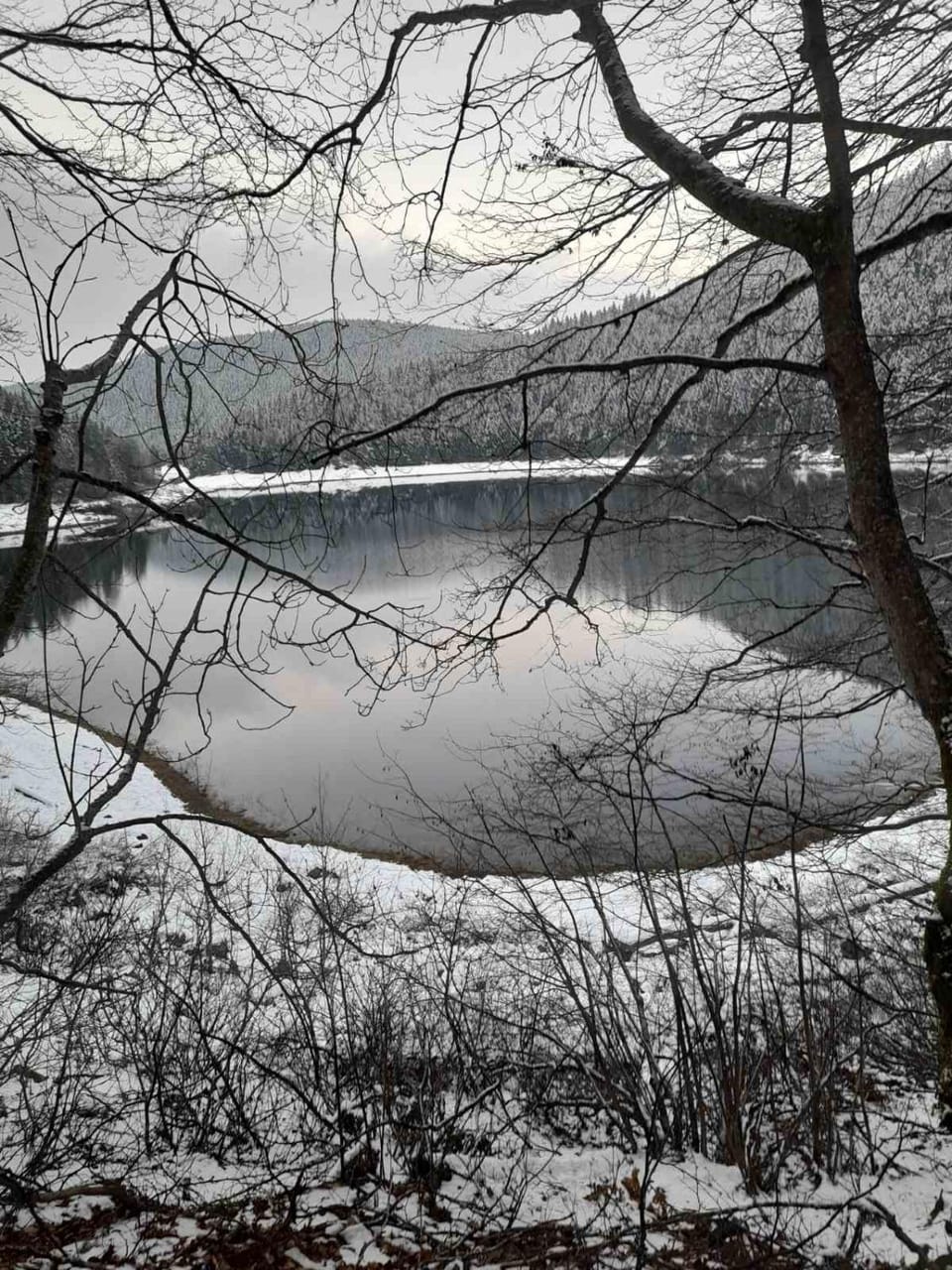 Apartment Nikitovic Apartment in Montenegro