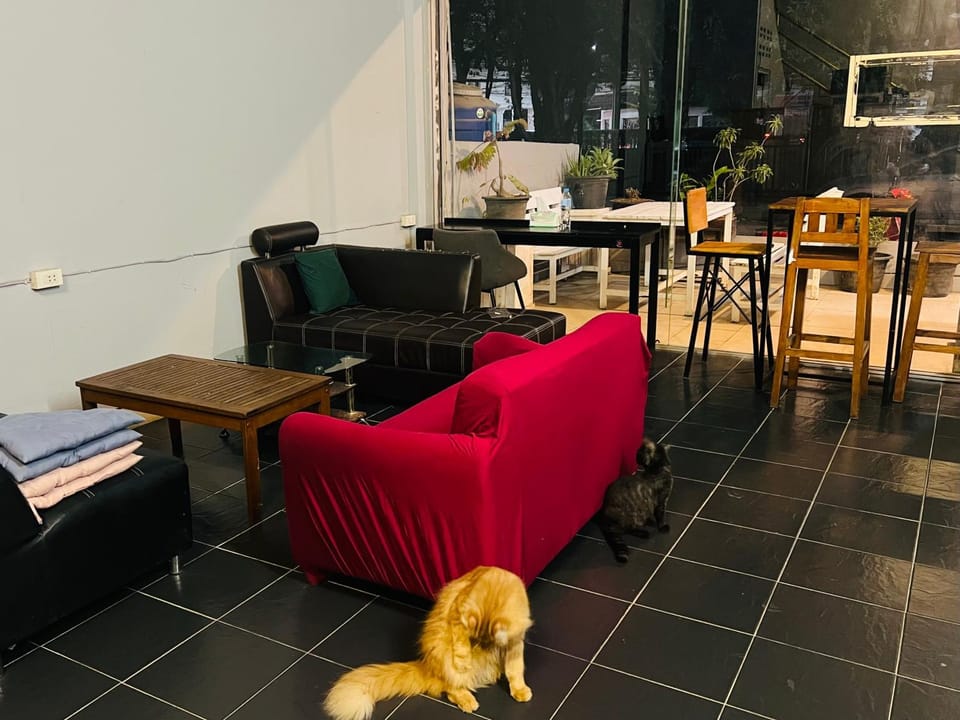 GREEN CURRY HOSTEL at Chang Klan Vacation rental in Chiang Mai