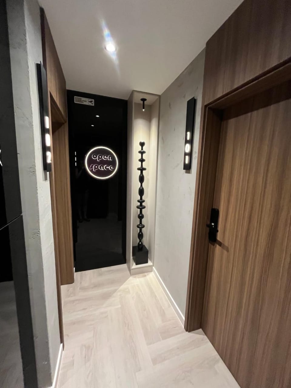 Open Space Apartment in Serbia