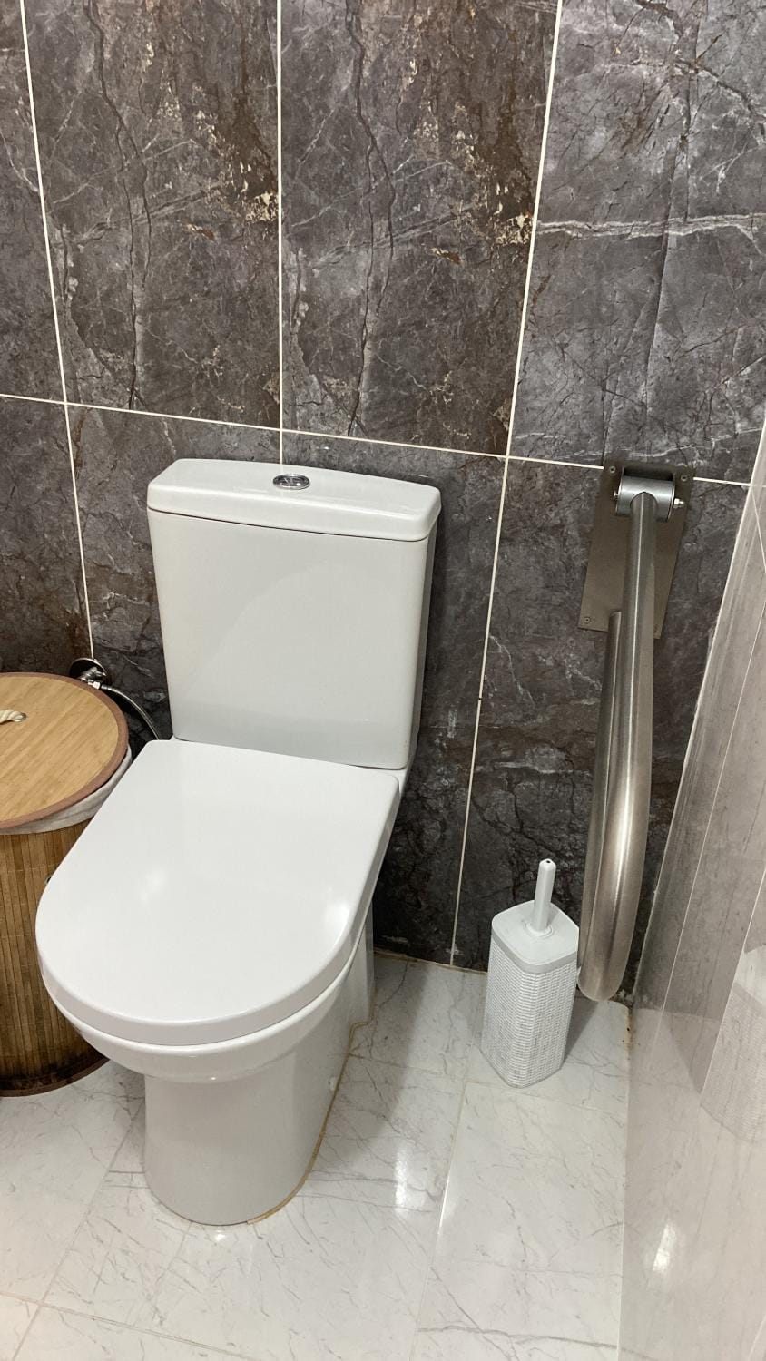 Toilet, Facility for disabled guests