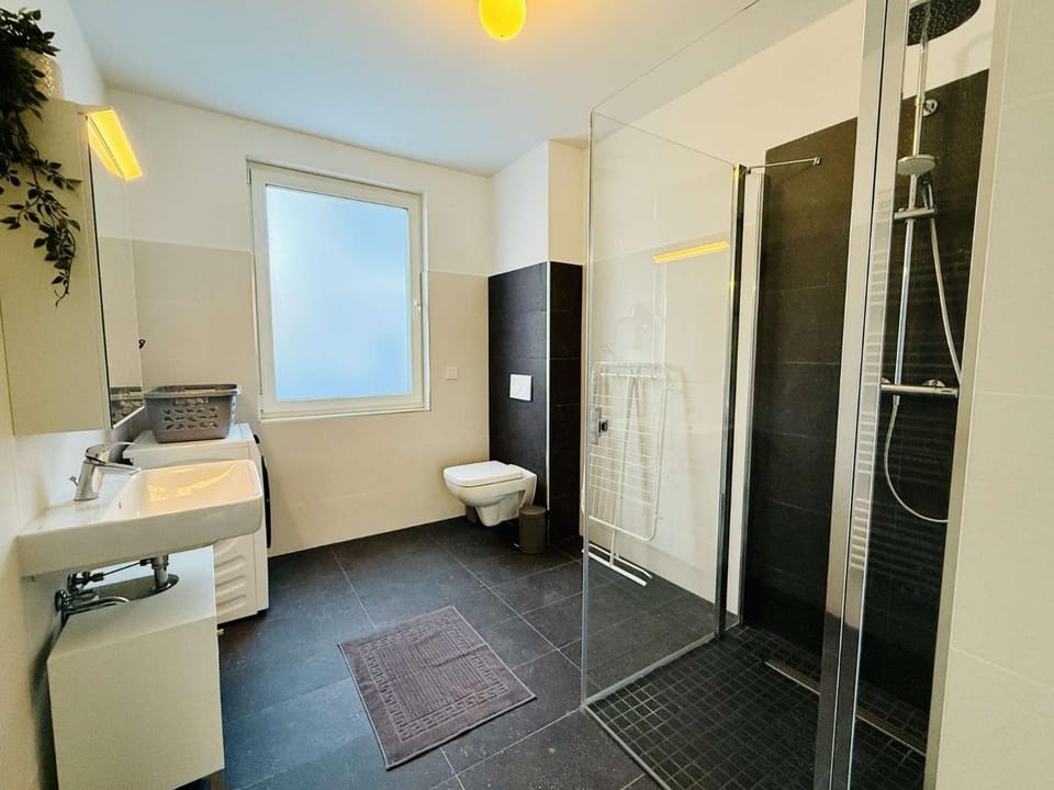 Shower, Toilet, Bathroom, washing machine