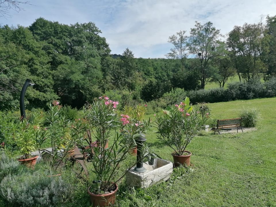 NATURKERT Vendégház Apartment in Hungary