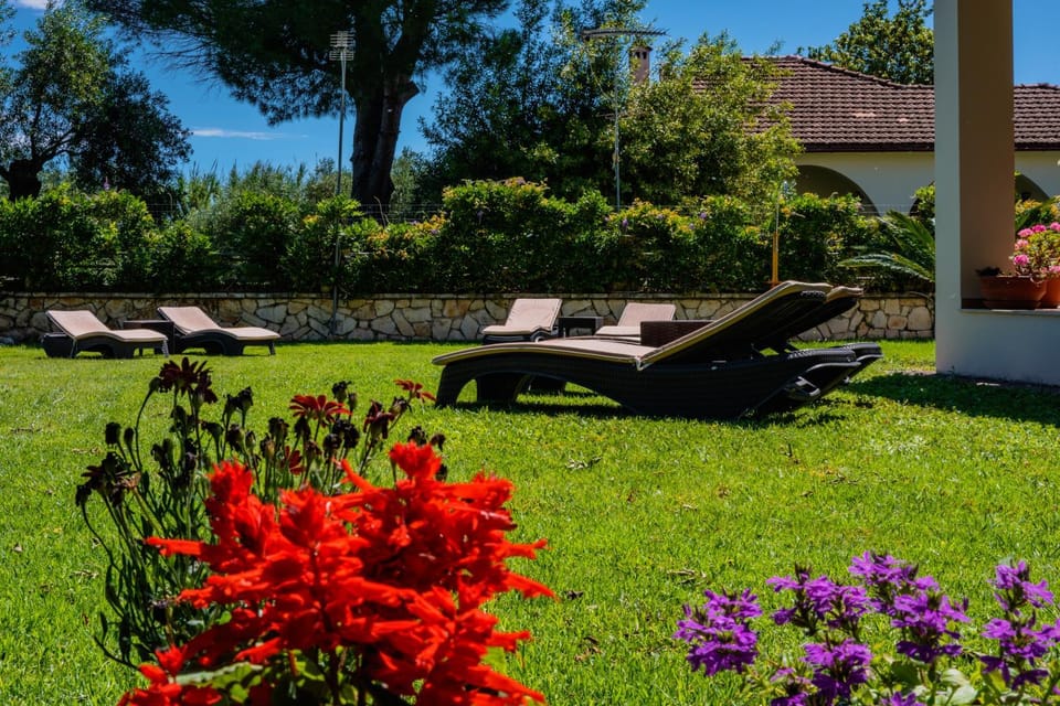 Day, Garden, sunbed