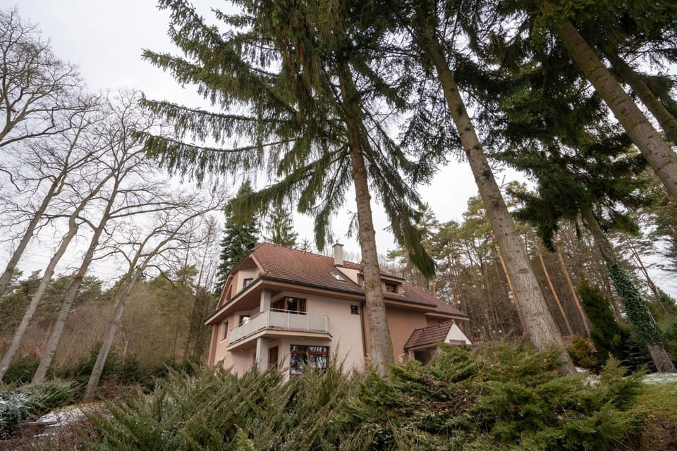 ChataKováčová House in Slovakia