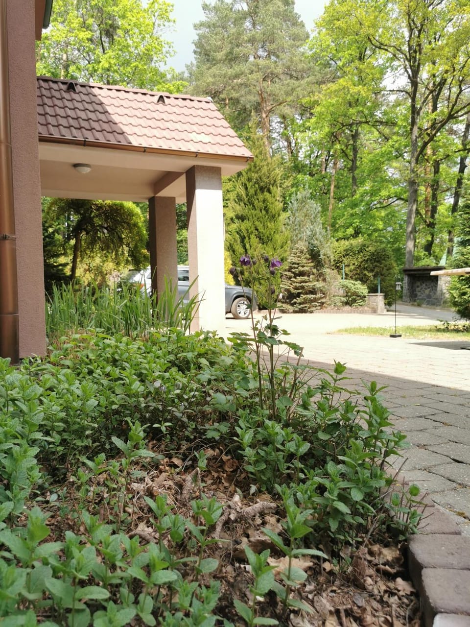 ChataKováčová House in Slovakia