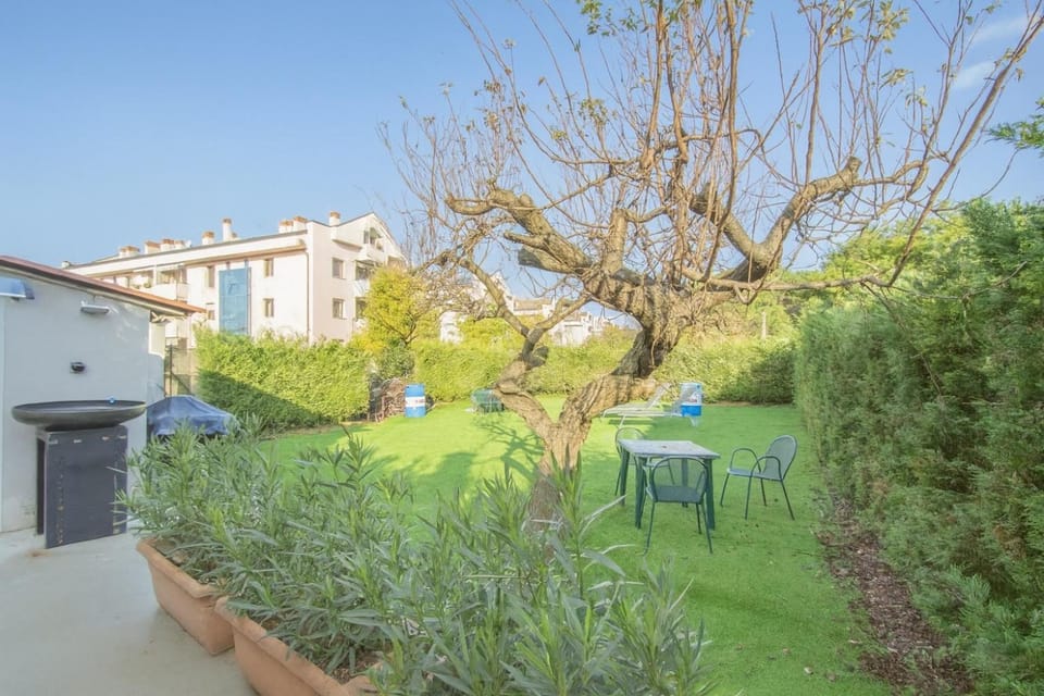 Day, Natural landscape, Garden, Garden view