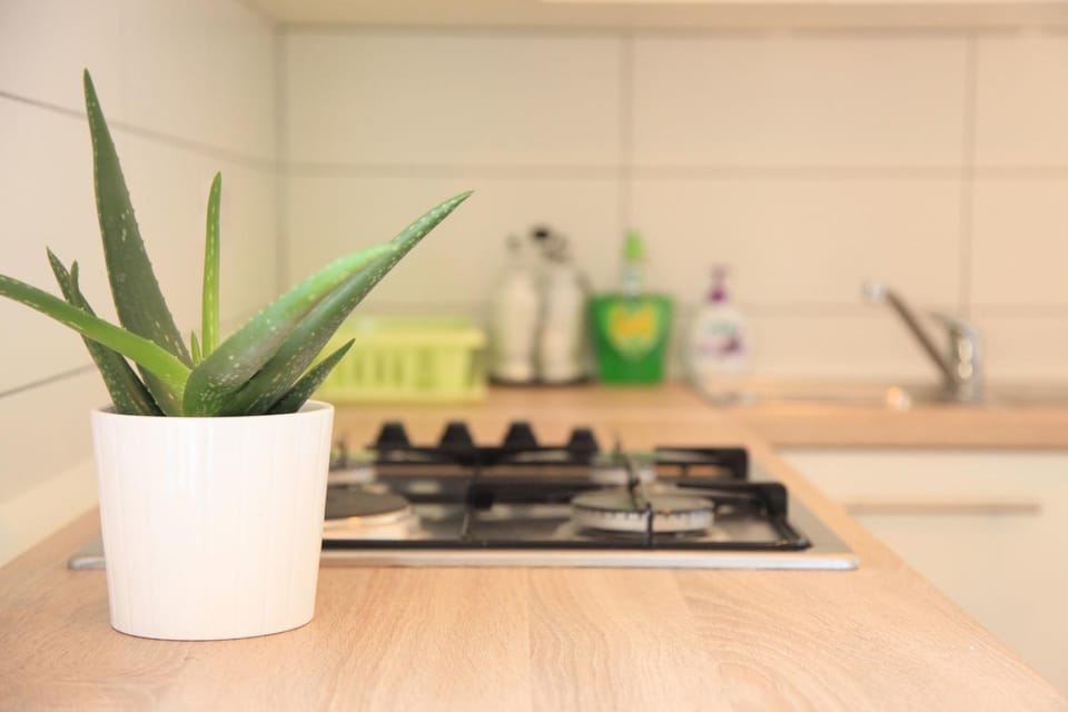 Kitchen or kitchenette, Decorative detail