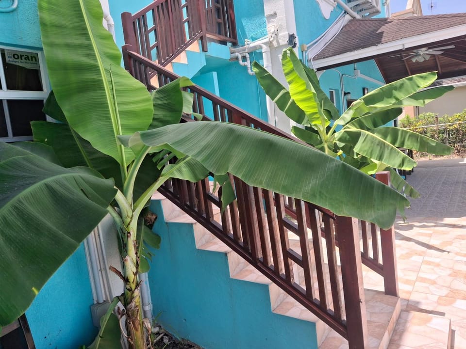 BLR Villas Dover Beach Apartment in Oistins