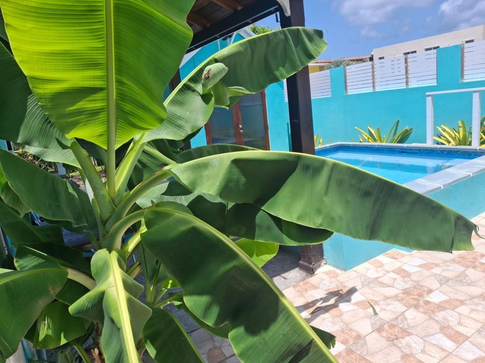 BLR Villas Dover Beach Apartment in Oistins