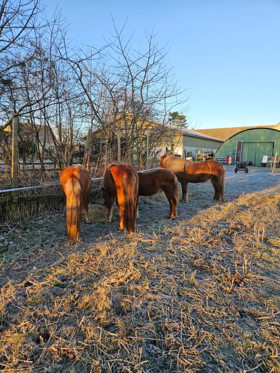 Vanggården Bed and Breakfast in Zealand