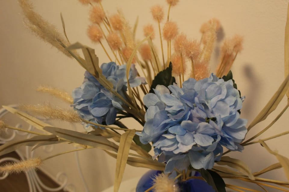 Le Segrete del pozzo Vintage Room Bed and Breakfast in Apulia