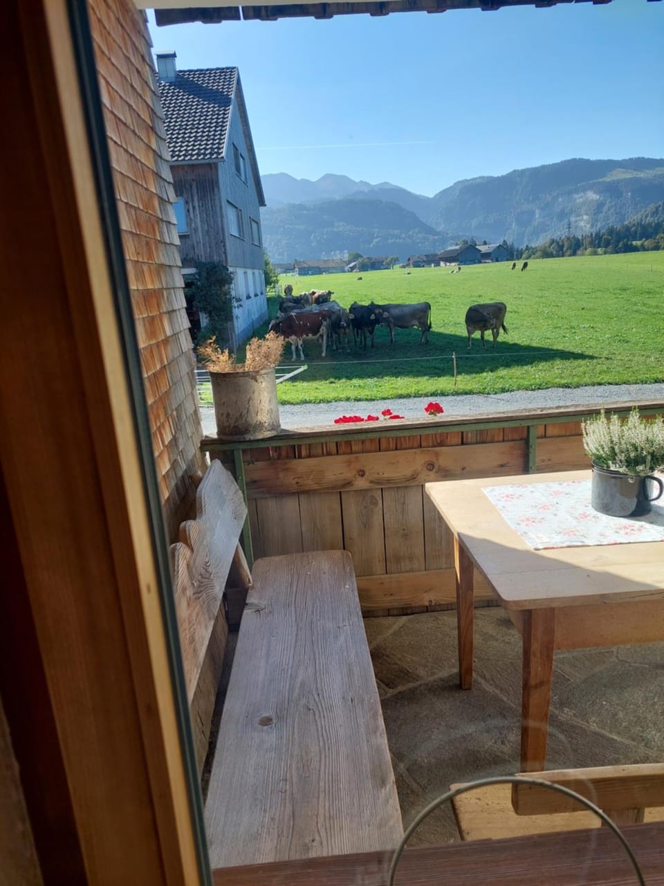 View (from property/room)