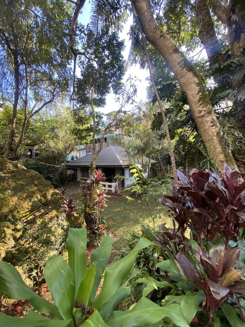 The Tiny Guesthouse House in Baguio