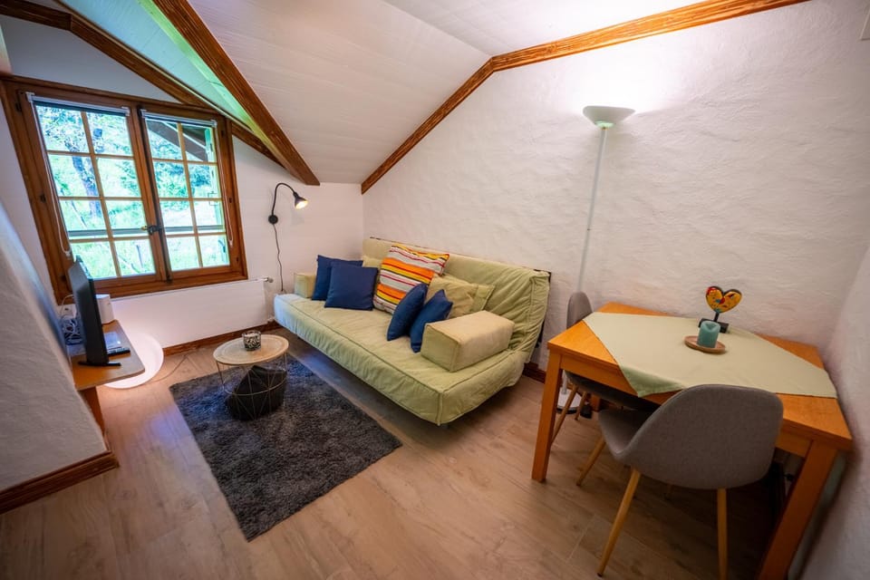 Communal lounge/ TV room, Living room, Seating area
