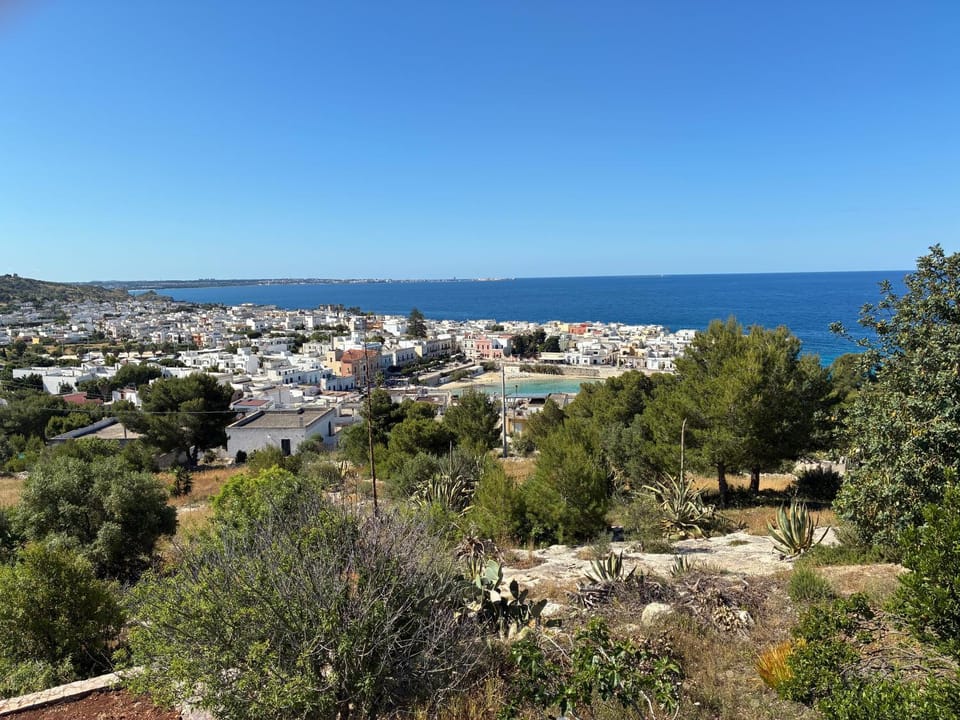 Natural landscape, Garden, Sea view