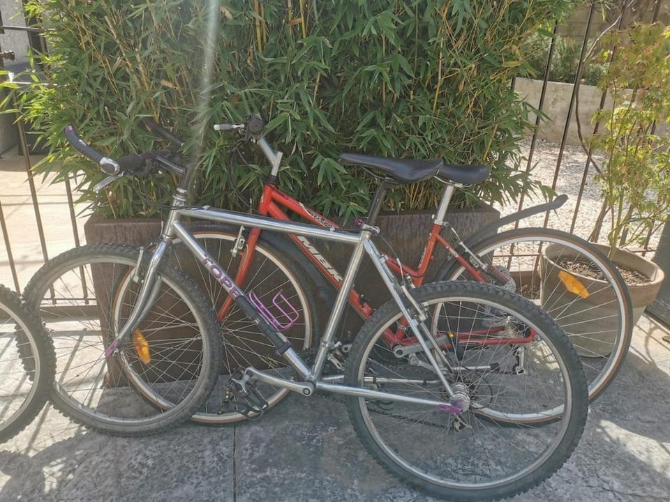 Day, Cycling