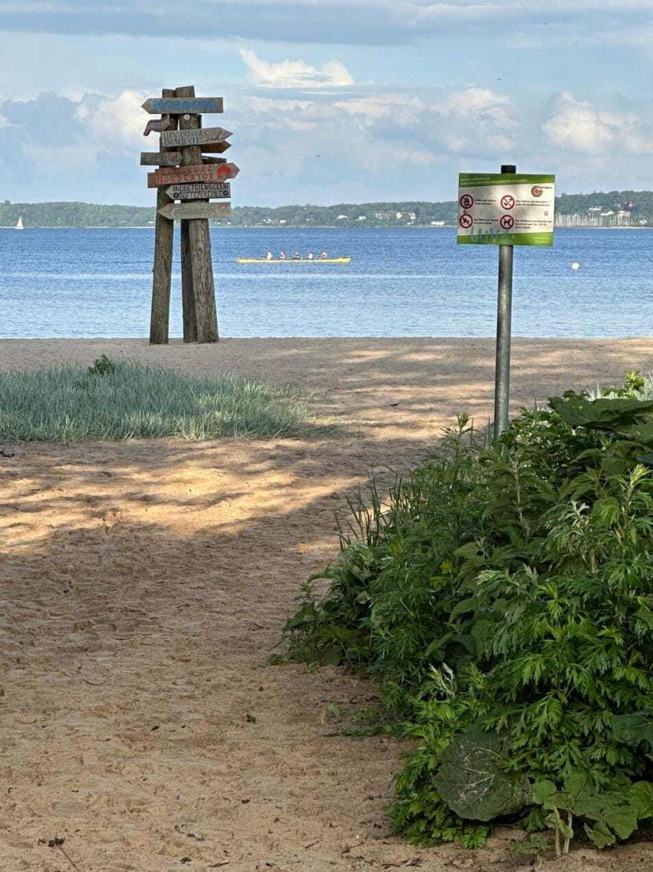 Strandperle Apartment in Flensburg