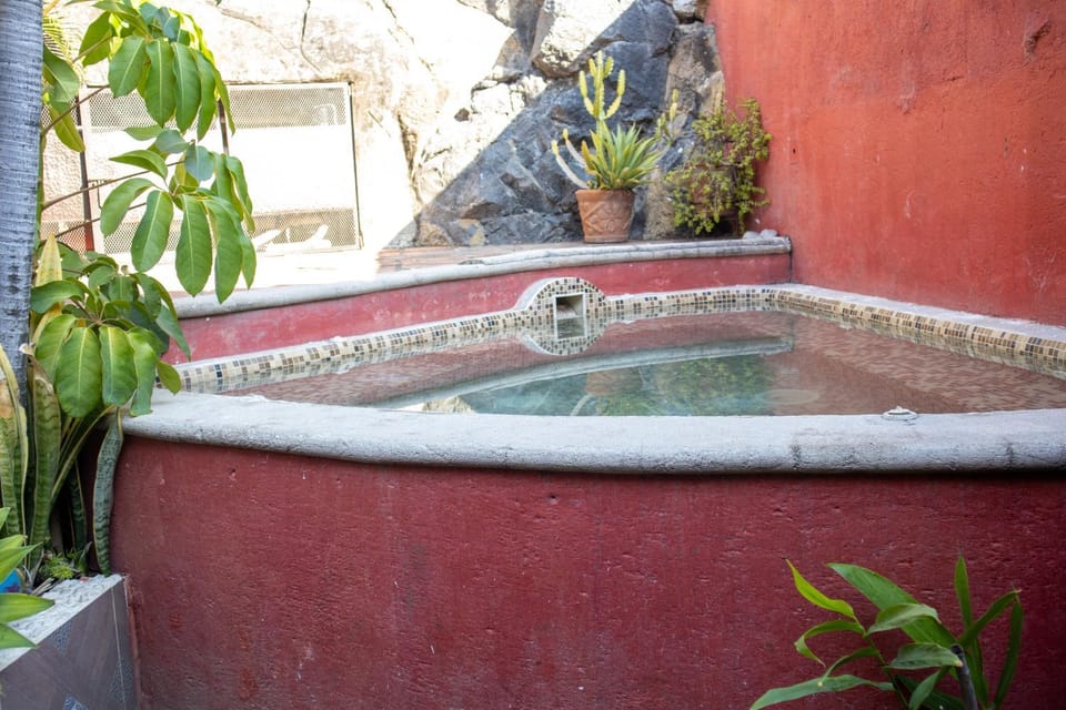 Garden, Hot Tub
