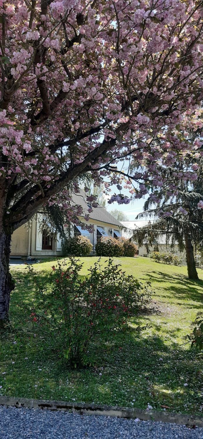 Spring, Natural landscape, Garden, Garden