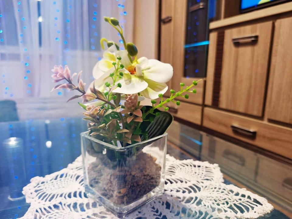 Taurage 2 room apartment Apartment in Kaliningrad Oblast, Russia