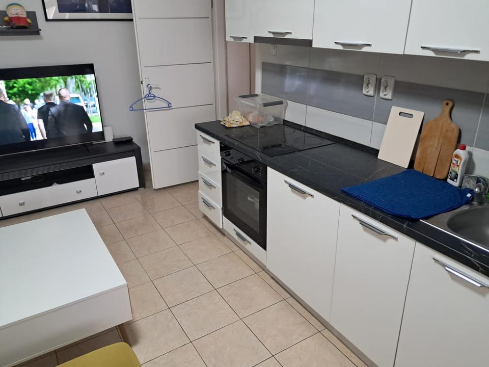 Stan Lojkić Apartment in City of Zagreb