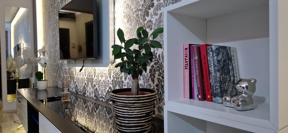 Library, TV and multimedia