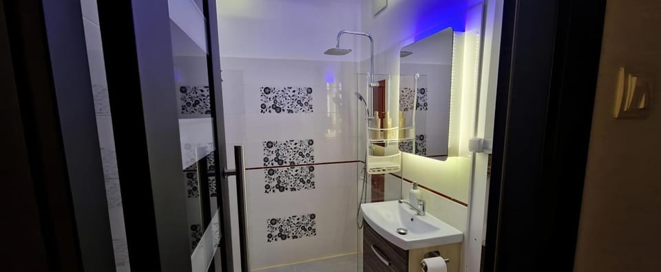 Shower, Toilet, Bathroom, hair dryier, towels