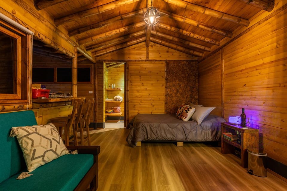 Bed, Living room, Photo of the whole room, Bedroom
