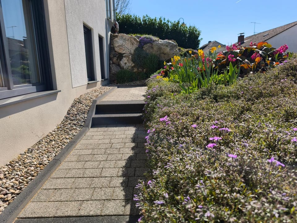 Property building, Garden view