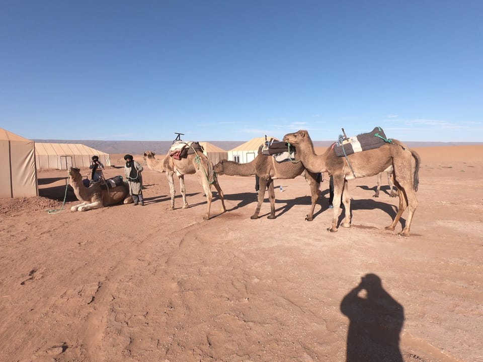 camp marhaba iriki Luxury tent in Souss-Massa